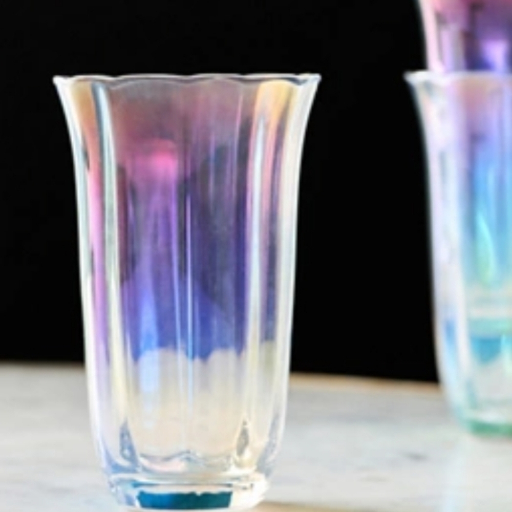 NWT SET - Anthropologie Fleur Juice Glasses